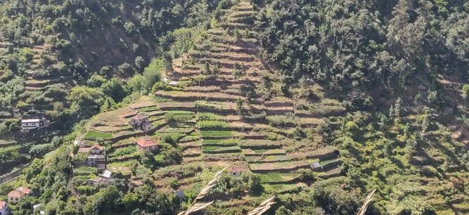 Île de Madère La montagne