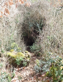 Du Viaduc à Peyre et dinosaures