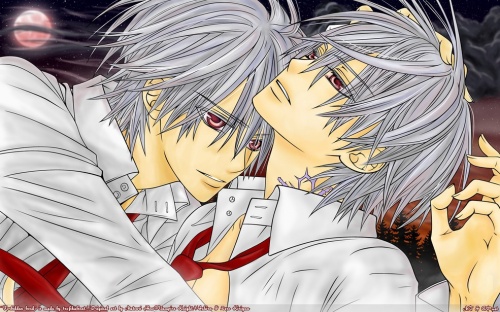 Vampire Knight gallerie