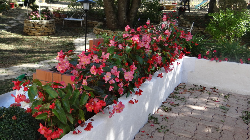 Les Jardinières autour de la Terrasse