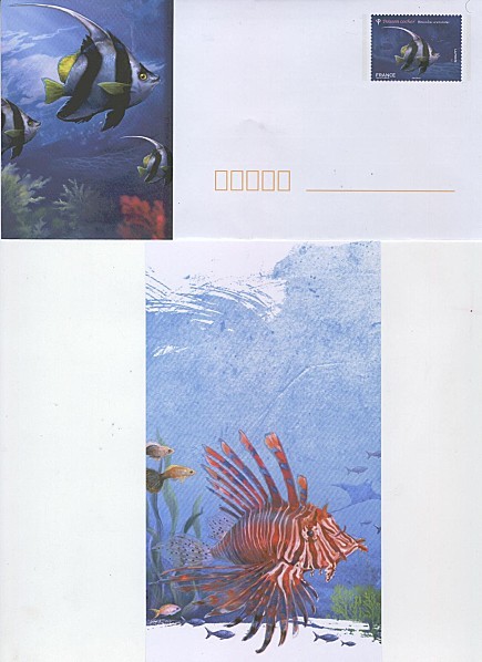 enveloppe-PAP-et-carte-poisson-2.jpg