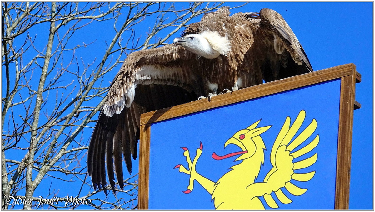 Puy du Fou (3) - Le Bal des Oiseaux Fantômes