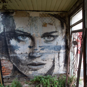 Rone street art in Christchurch New Zealand