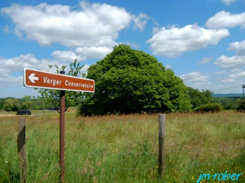 Dournazac 87 : La visite du verger-conservatoire, un lieu d'information sur le châtaignier et sur la gastronomie de son fruit  avec « le sentier de la châtaigne » 