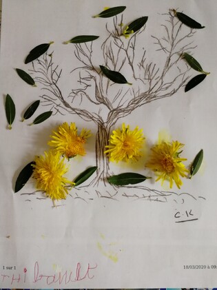 Mon arbre au printemps par Thibault