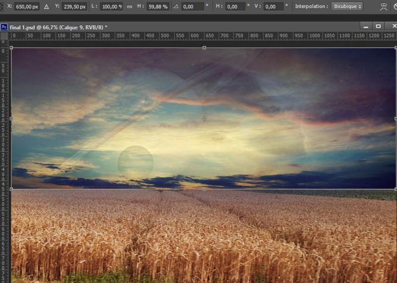 J'irai au bout de mes rêves !