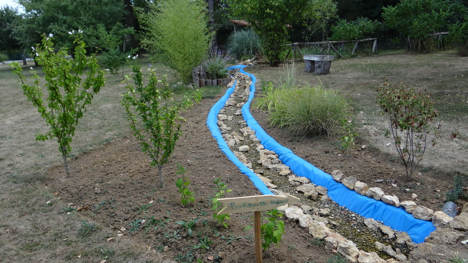 Avant de se Jeter à l'eau (Pour Bassin ou Ruisseau) (2)