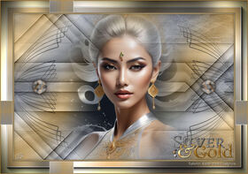 SILVER & GOLD - Argent & Or