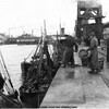 Déchargement du poisson au quai Paul Devot, 1931