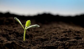 Un polichinelle dans le tiroir