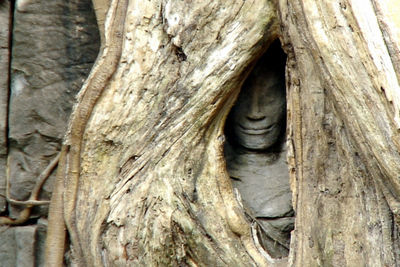 Blog de images-du-pays-des-ours :Images du Pays des Ours (et d'ailleurs ...), Temple de Ta Prohm - Angkor - Cambodge