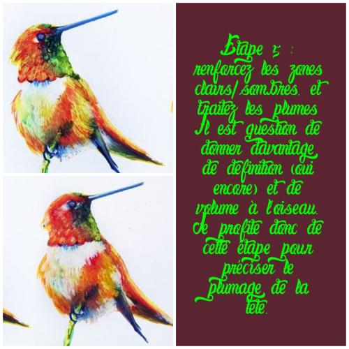 Dessin et peinture - vidéo 3288 : Comment apprendre à dessiner un oiseau coloré ? - technique mixte.