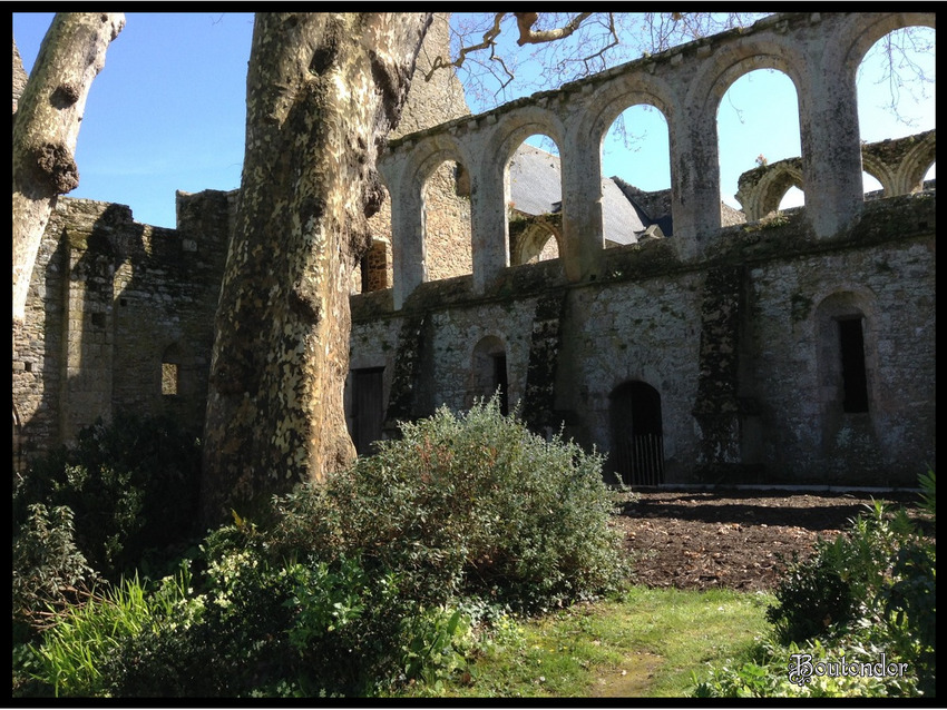 Paimpol - Abbaye de Beauport( Côtes-d'Armor 22)-3