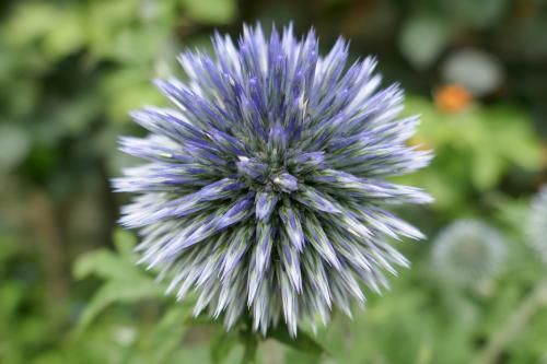 Le cartoscope du jeudi 2 mai 2024