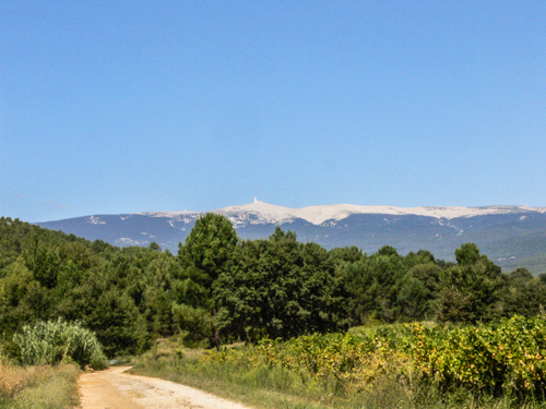 Chemin vers la montagne