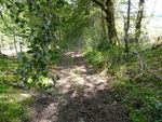 Bivouac dans le Morvan...