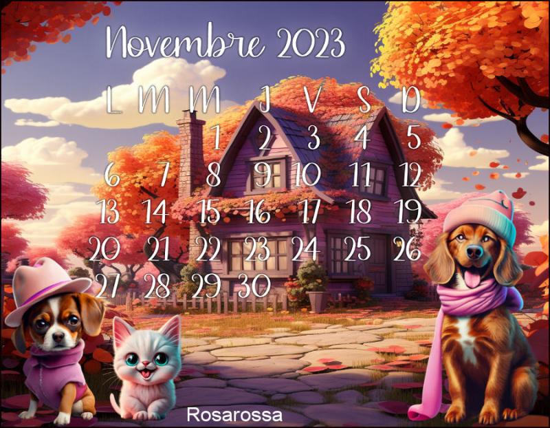 Galerie calendrier du mois de novembre 2023