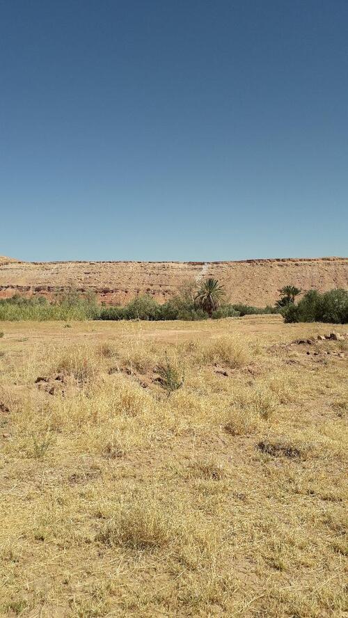 De Zagora, retour à Ouarzazate et agréable rencontre