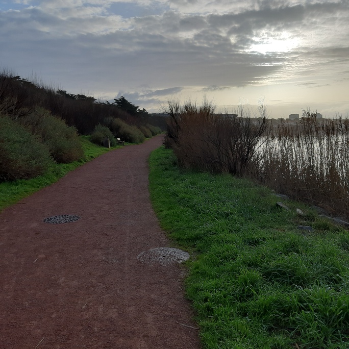 Bord de mer - Les Sables d'Olonne - 26 janvier 2020