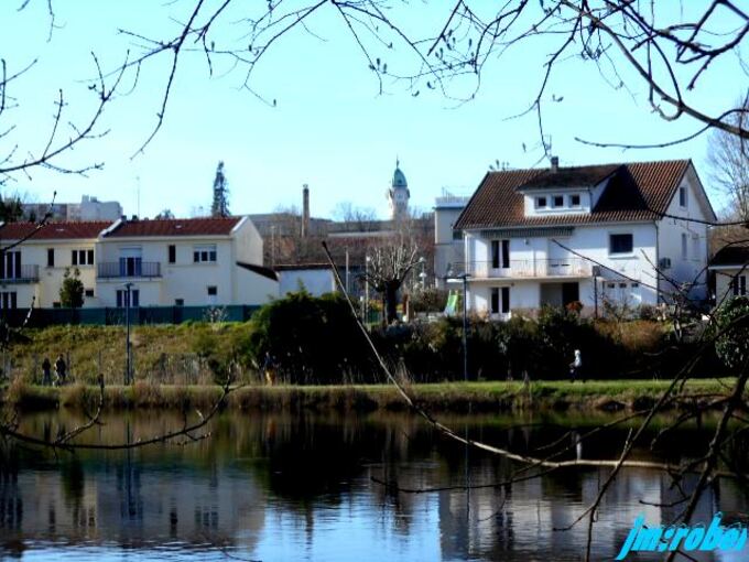 Balade printanière sur les bords de Vienne (2)