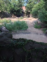 14/09 : Lincoln Park et son zoo.