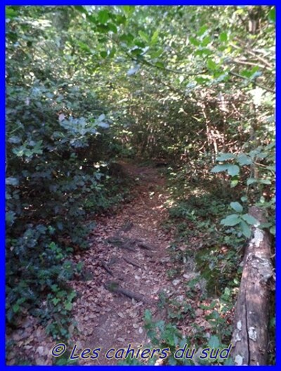 Sentier mystique de la ste Baume