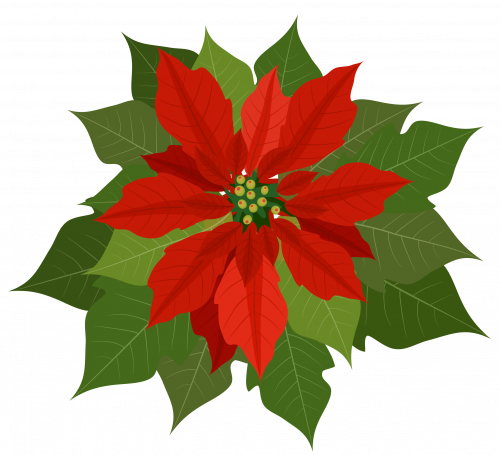 tubes noel / fleurs, gui, couronnes