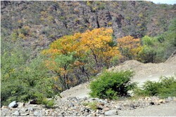 Premiers pas en Bolivie