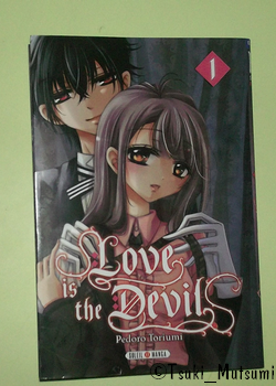 Love is the Devil - tome 1