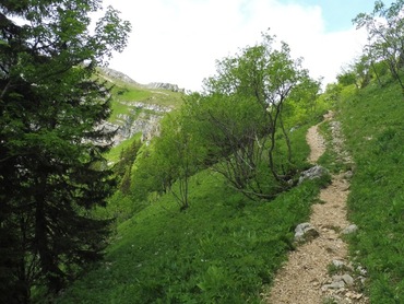 Vers le Col de Porte