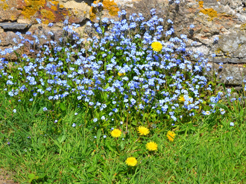  sourires en bleu 