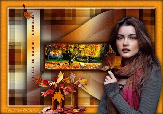 Wonderful colors of Autumn képek