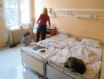Un séjour à l'hôpital à Sofia