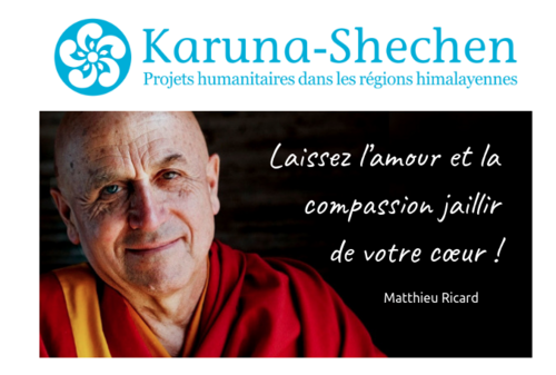 Yoga solidaire : YOGAmicale et Médit&Vous réunies pour Karuna Schechen