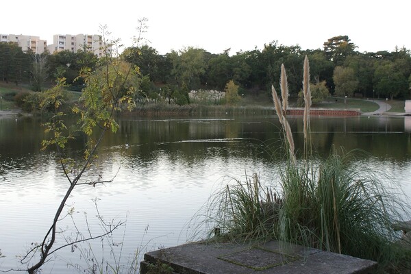 Lac de la Reynerie