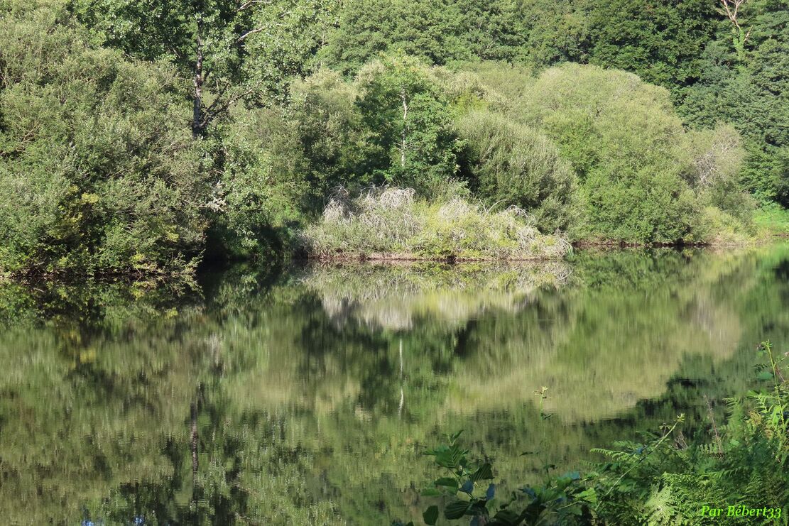 défi reflets d'Annie