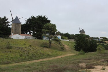 LES MOULINS DE LA COUR - LA GUÉRINIÈRE - ÎLE DE NOIRMOUTIER