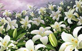Résultat de recherche d'images pour "belles fleurs blanches"