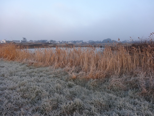 Ce matin il gèle sur les marais salants