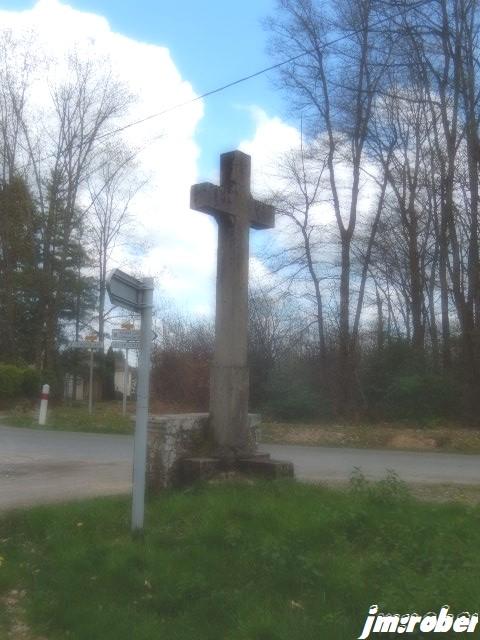 Nature : Promenons nous dans le bois.......