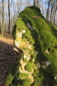 Menhir - Yonne