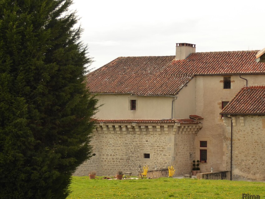 Château de L'Age-de-Volude - Alloue ,Charente.