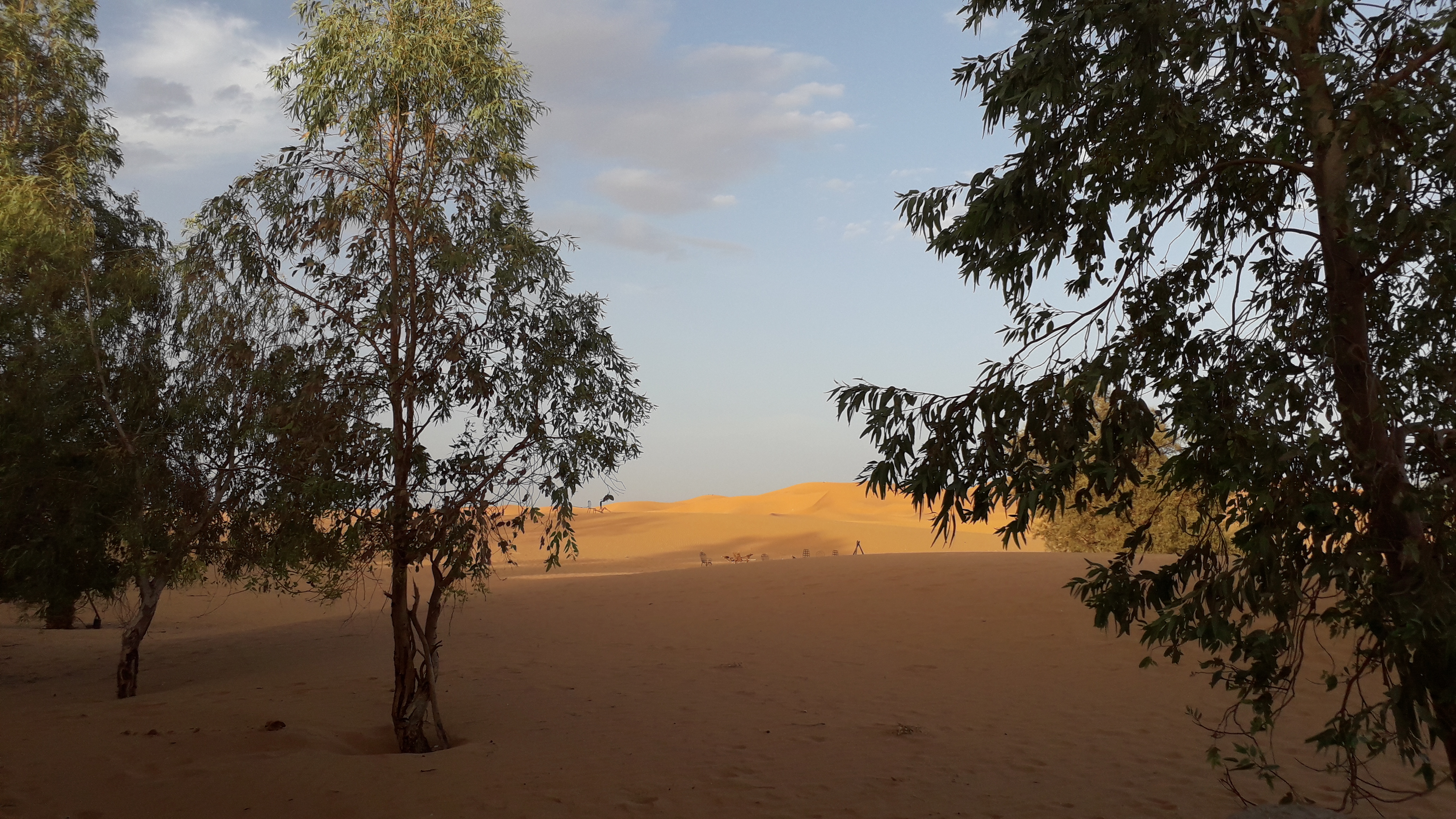 Depuis l'auberge des Dunes d'or