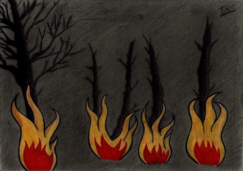 Dessins sur le thème du Feu