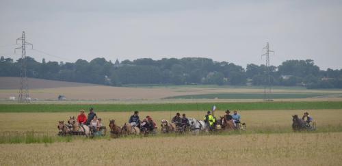 15 Juillet - Ma journée avec les randonneurs.