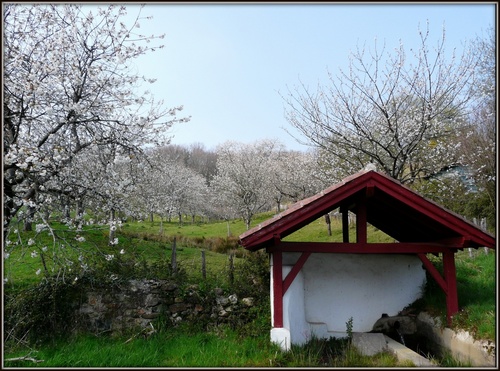 Vieux lavoirs