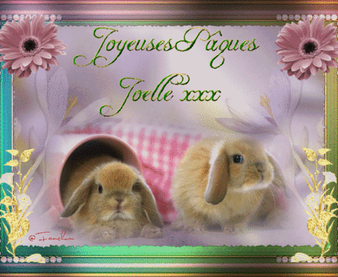 joelle-lapins-quit-le-nez-3c588a7.gif