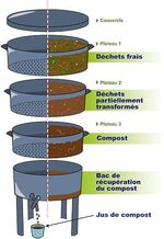 Astuce jardin BIO