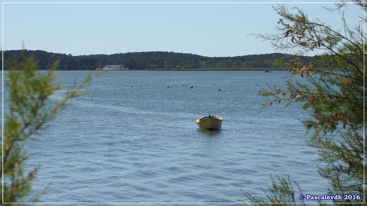 Du port ostréicole d'Andernos aux prés salés d'Arès - Mai 2016 - 2/9