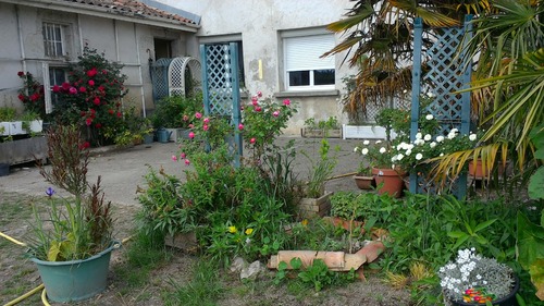 Le jardin des roses